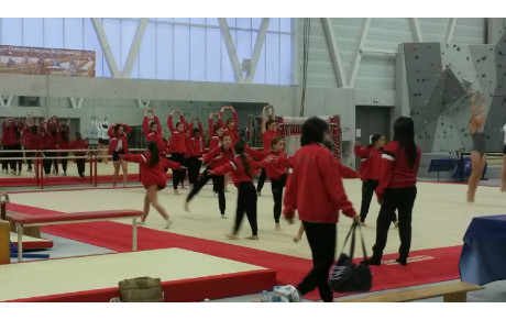 GAF EQUIPE FINALITE ZONE