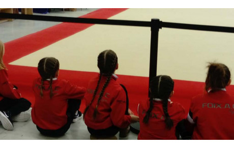 Competition départementale FFG